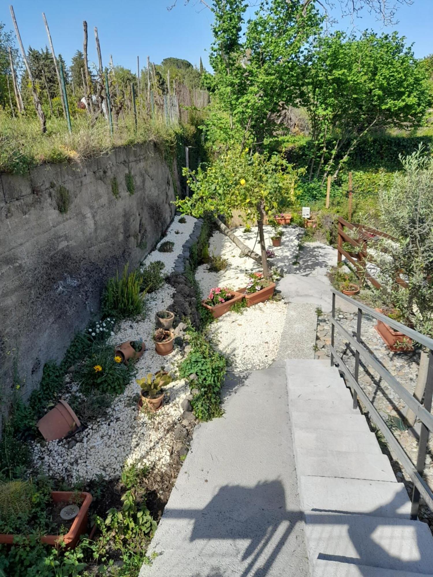 Sikelia Etna House Zafferana Etnea Exterior foto